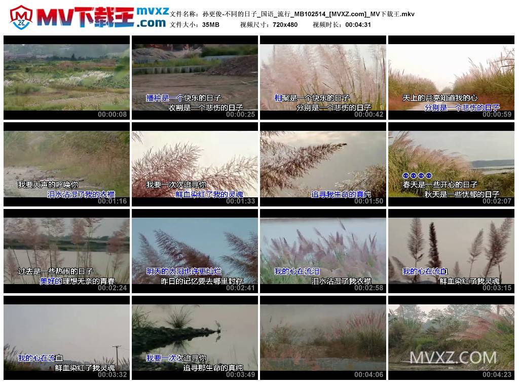 孙更俊-不同的日子_国语_流行_MB102514